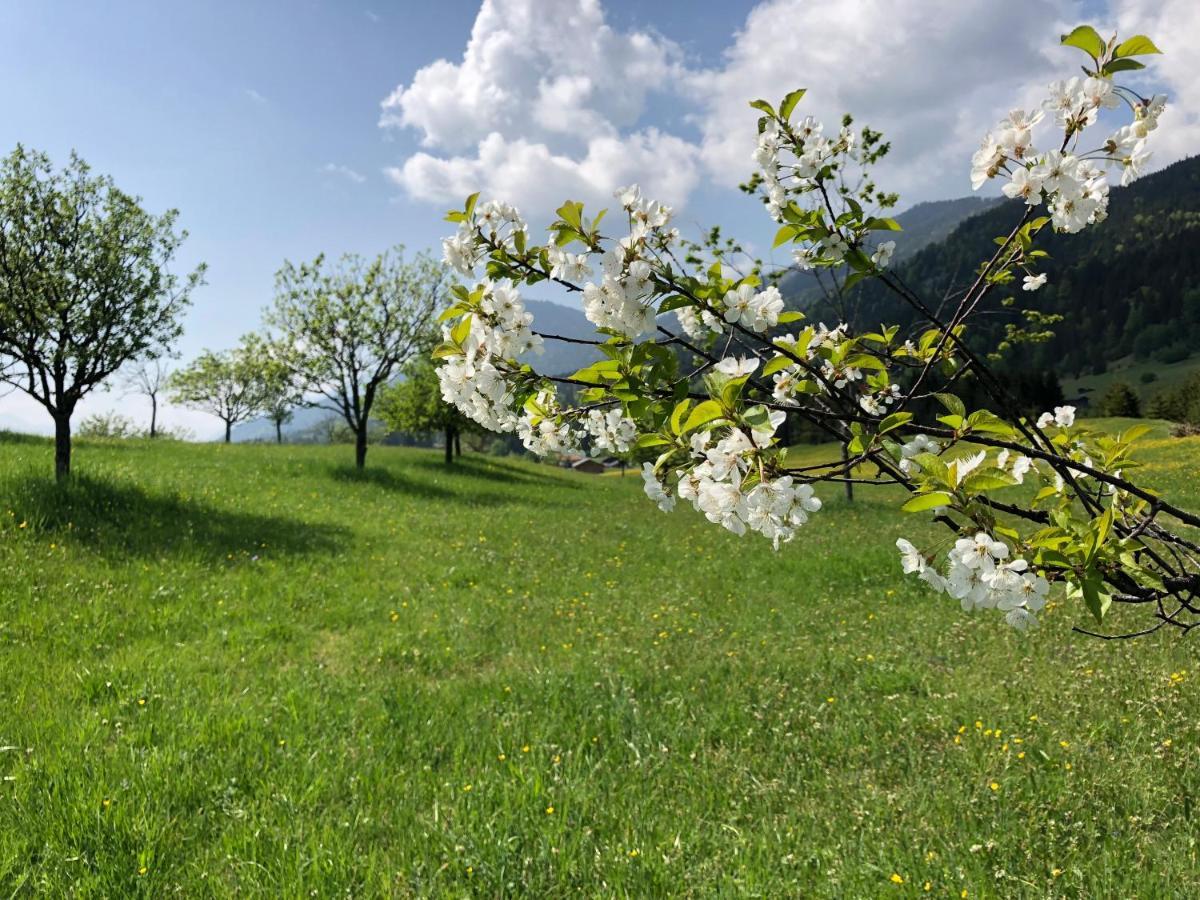 Alpenhof Kruen Otel Dış mekan fotoğraf