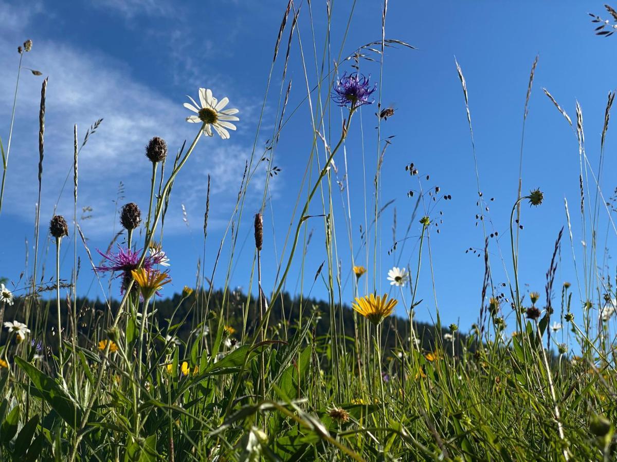 Alpenhof Kruen Otel Dış mekan fotoğraf