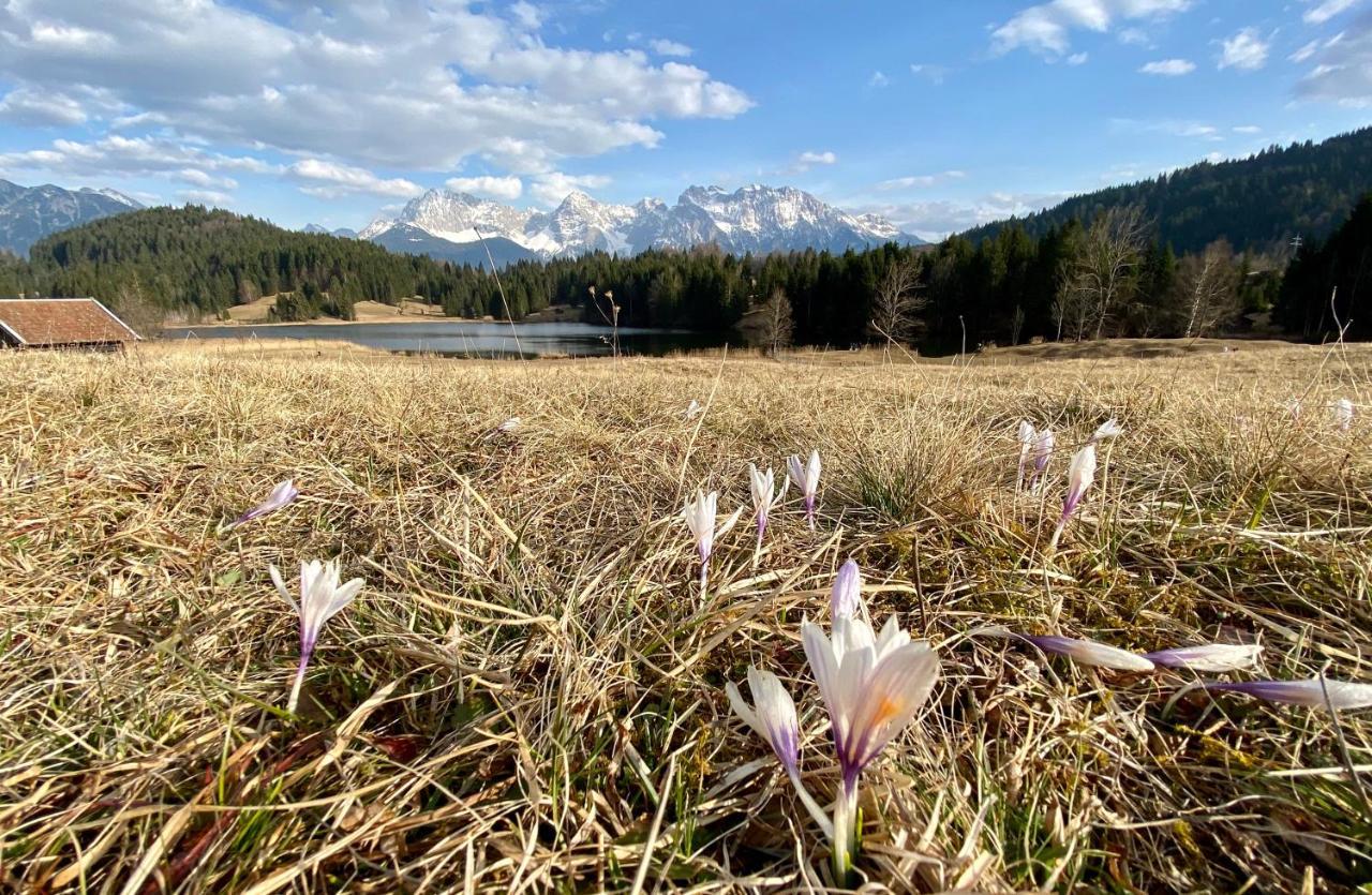 Alpenhof Kruen Otel Dış mekan fotoğraf