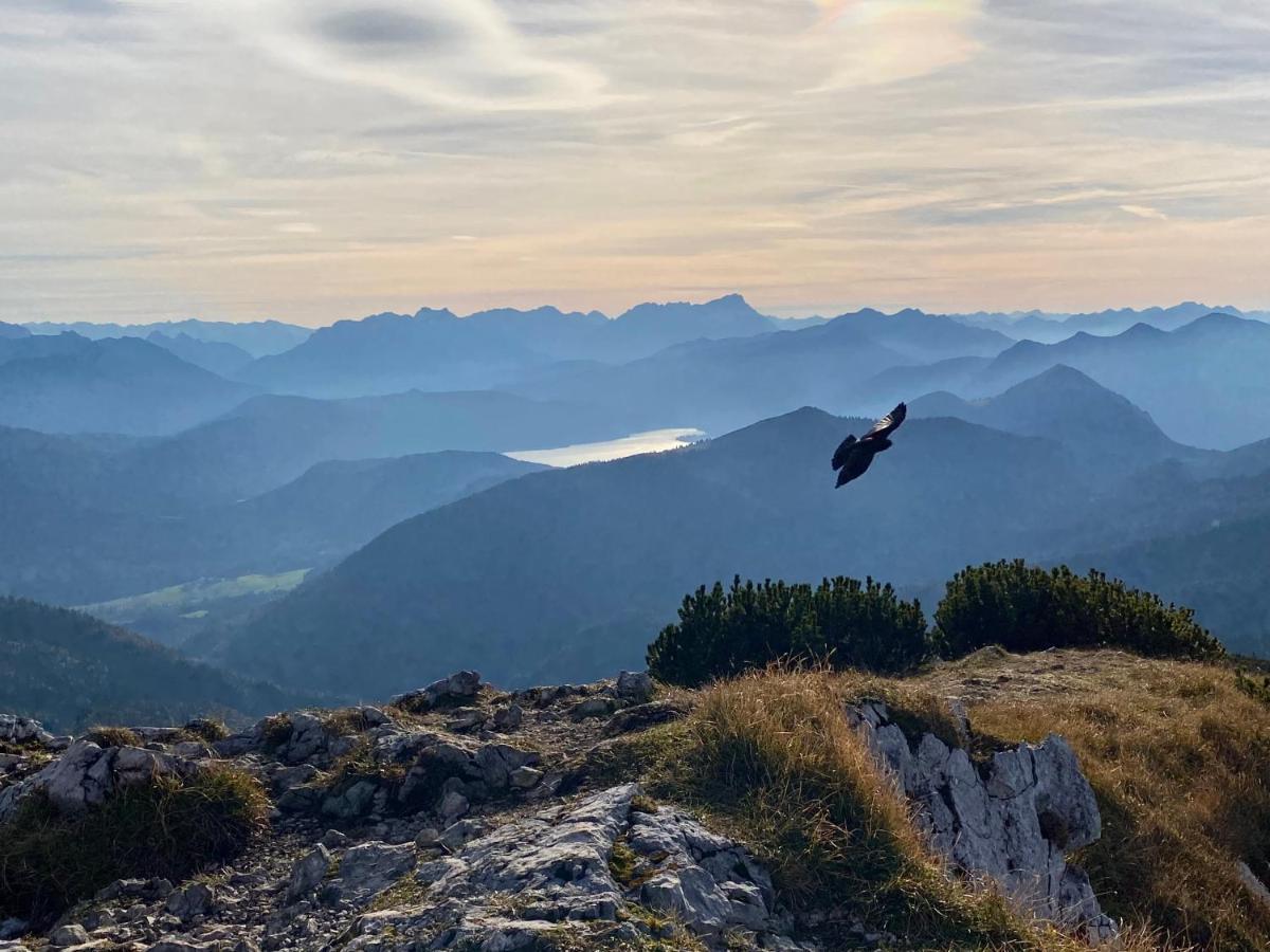 Alpenhof Kruen Otel Dış mekan fotoğraf